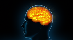 brain activity - calm - emdrtherapist.ca